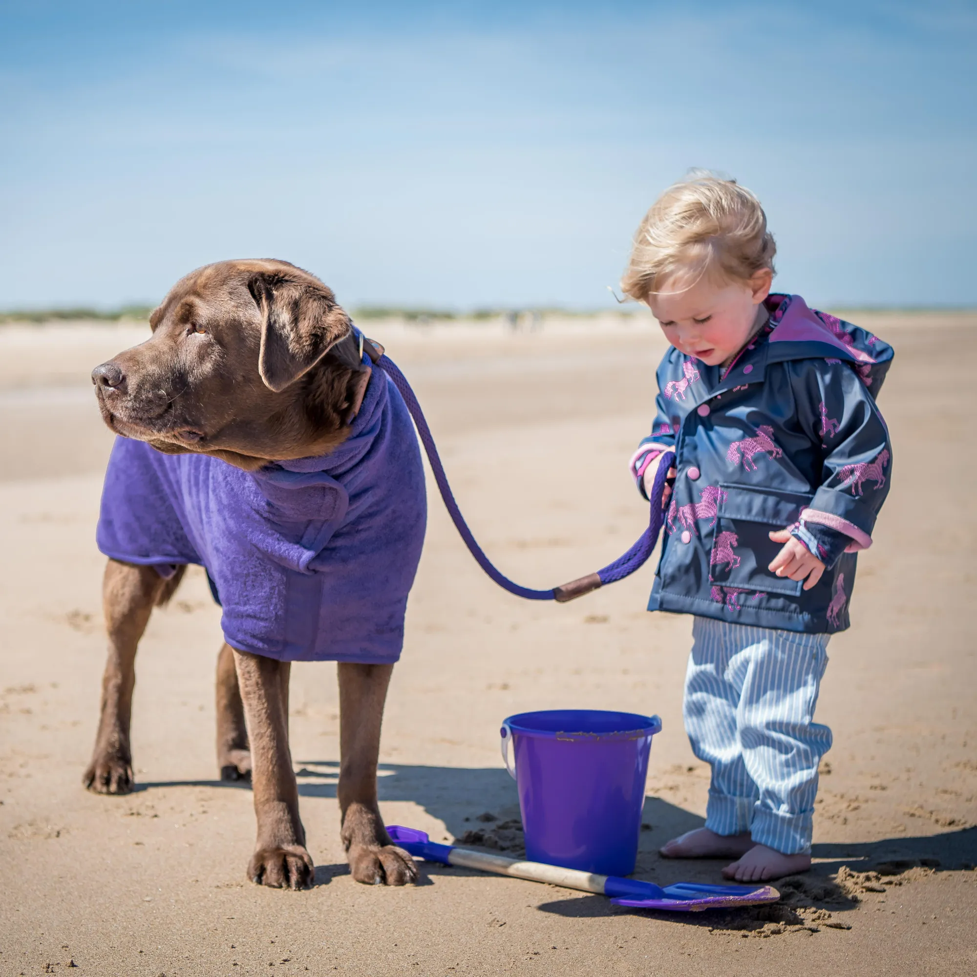 Dog Drying Coat - Classic Collection